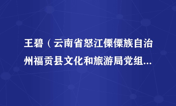 王碧（云南省怒江傈僳族自治州福贡县文化和旅游局党组书记局长）