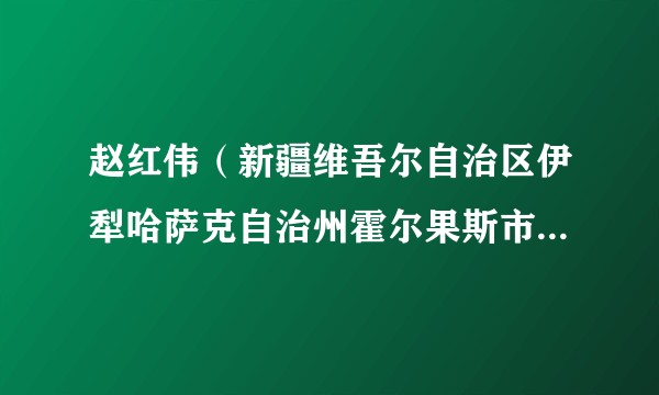 赵红伟(新疆维吾尔自治区伊犁哈萨克自治州霍尔果斯市第一届人民代表大会常务委员会副主任)
