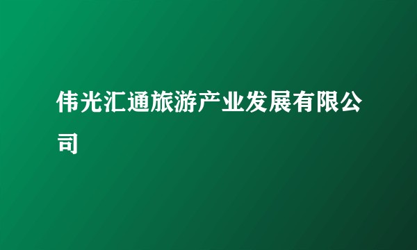 伟光汇通旅游产业发展有限公司