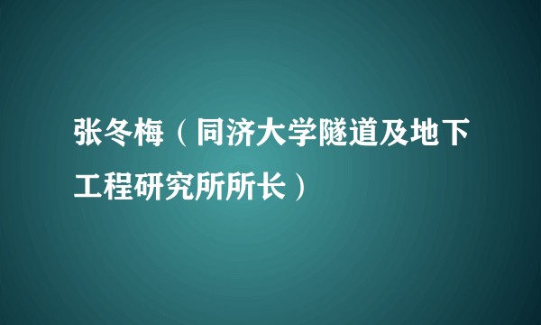 张冬梅（同济大学隧道及地下工程研究所所长）