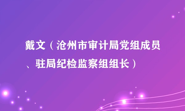戴文（沧州市审计局党组成员、驻局纪检监察组组长）