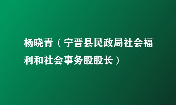 杨晓青（宁晋县民政局社会福利和社会事务股股长）