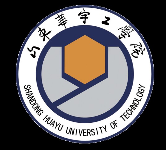山东华宇工学院