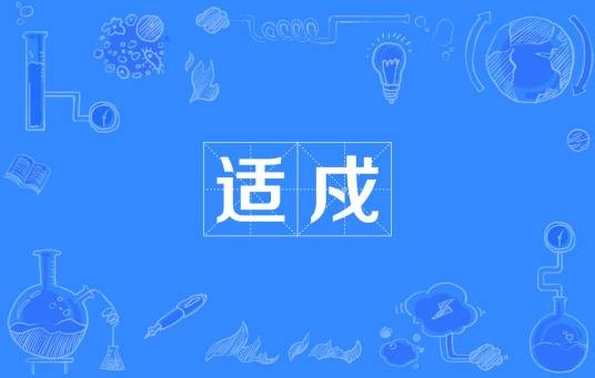 适戍
