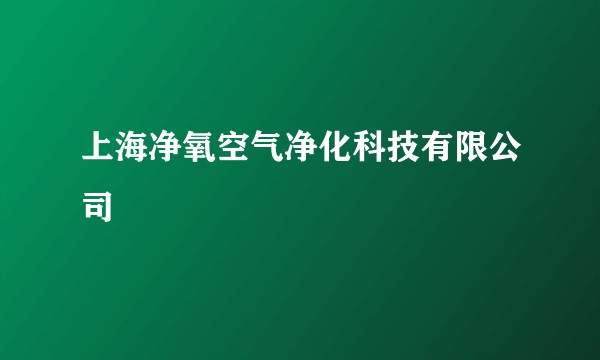 上海净氧空气净化科技有限公司
