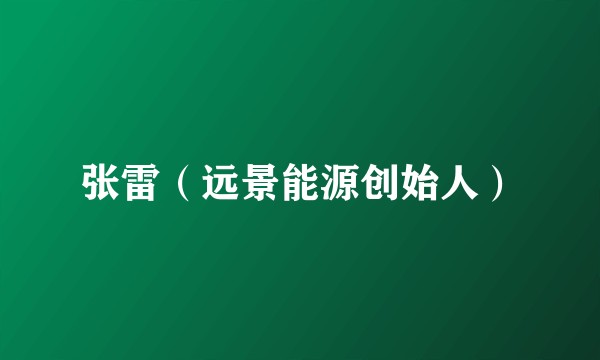 张雷（远景能源创始人）