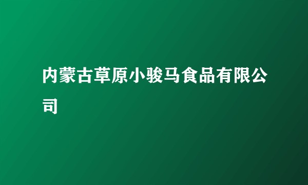 内蒙古草原小骏马食品有限公司