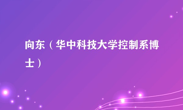 向东（华中科技大学控制系博士）