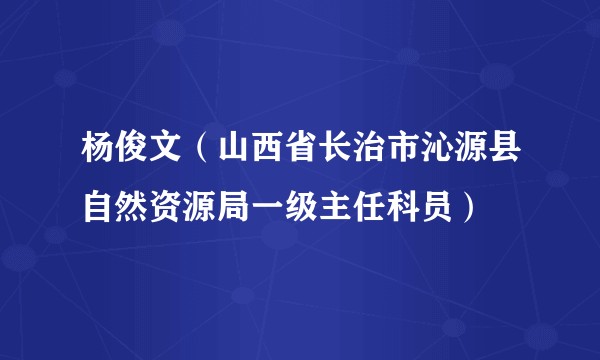 杨俊文（山西省长治市沁源县自然资源局一级主任科员）