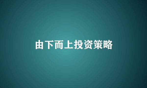 由下而上投资策略