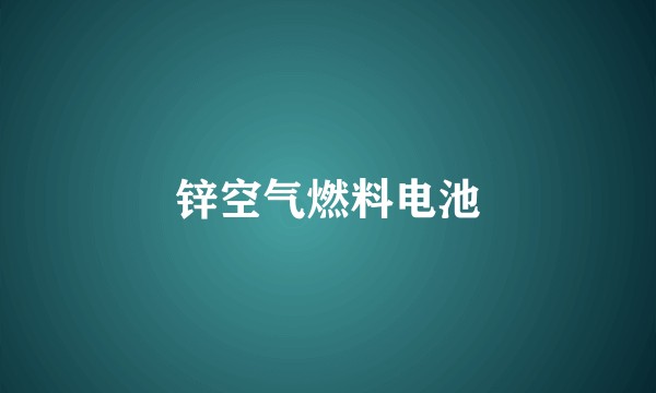 锌空气燃料电池