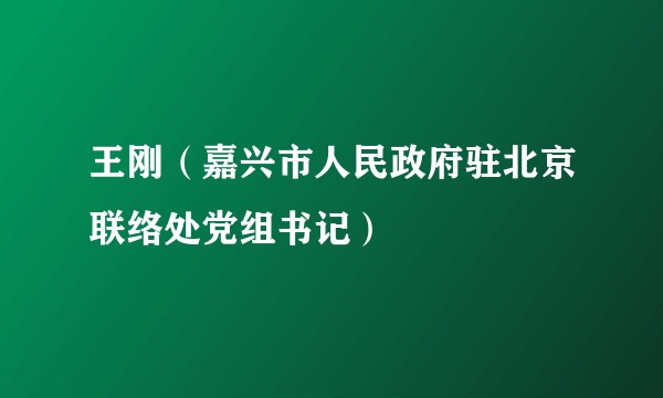 王刚（嘉兴市人民政府驻北京联络处党组书记）