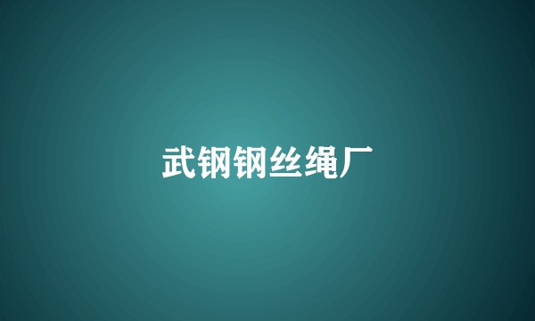 武钢钢丝绳厂
