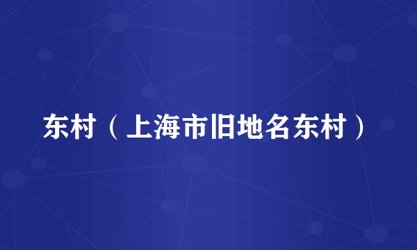 东村（上海市旧地名东村）