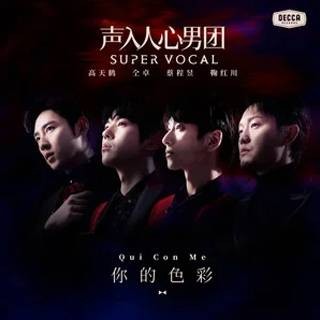 你的色彩（声入人心男团歌曲）