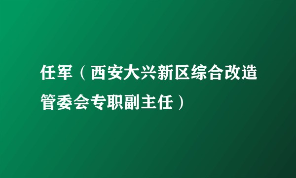 任军（西安大兴新区综合改造管委会专职副主任）