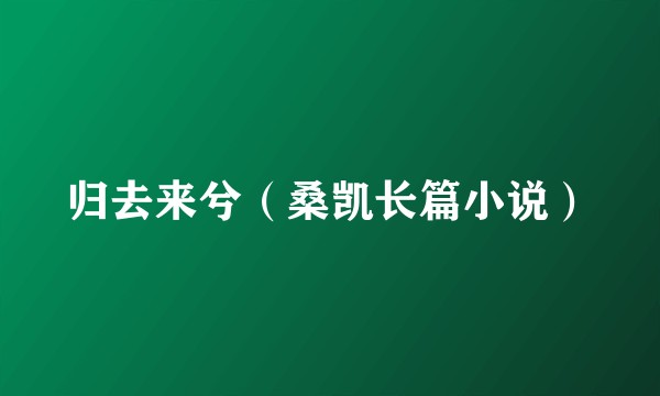 归去来兮（桑凯长篇小说）