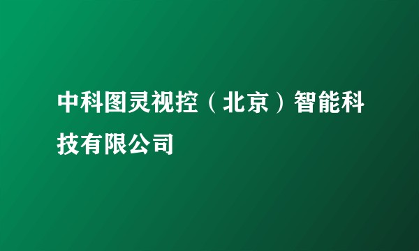 中科图灵视控（北京）智能科技有限公司