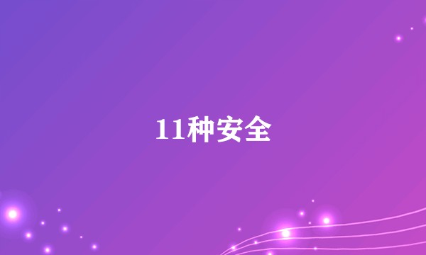 11种安全