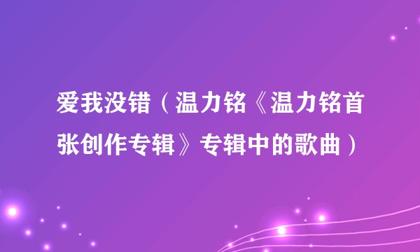 爱我没错（温力铭《温力铭首张创作专辑》专辑中的歌曲）