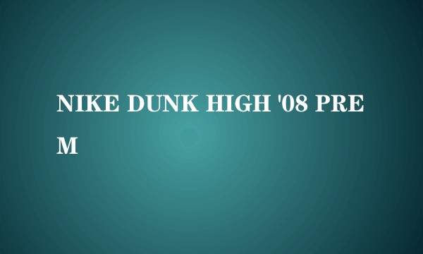 NIKE DUNK HIGH '08 PREM