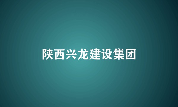 陕西兴龙建设集团