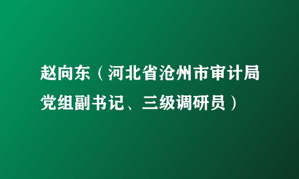 赵向东（河北省沧州市审计局党组副书记、三级调研员）