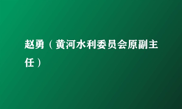 赵勇（黄河水利委员会原副主任）
