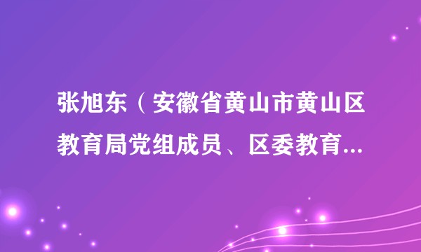 张旭东（安徽省黄山市黄山区教育局党组成员、区委教育工委委员、督导室主任）