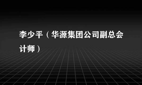 李少平（华源集团公司副总会计师）