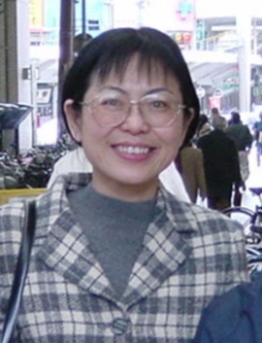 丁伟（东南大学计算机科学与工程系教授）