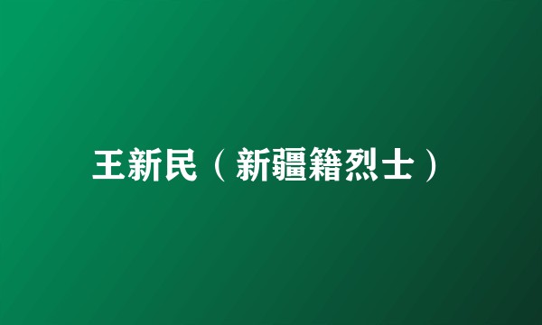 王新民（新疆籍烈士）