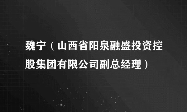 魏宁（山西省阳泉融盛投资控股集团有限公司副总经理）