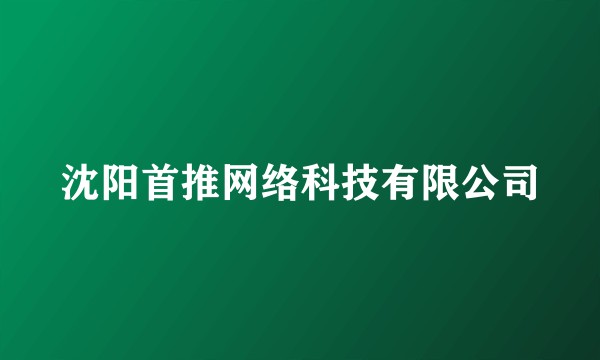沈阳首推网络科技有限公司