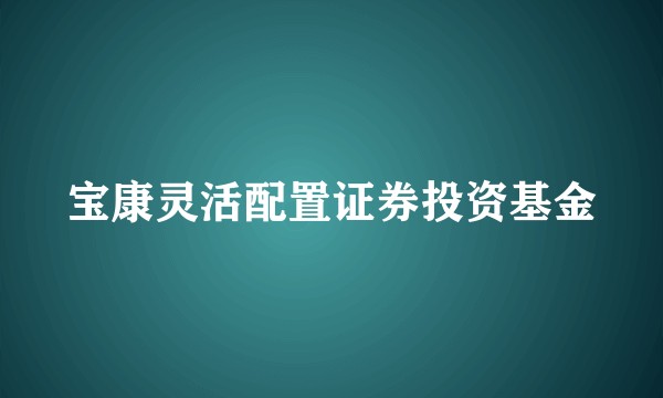 宝康灵活配置证券投资基金
