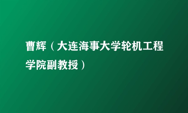 曹辉（大连海事大学轮机工程学院副教授）