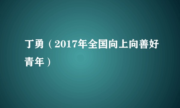 丁勇（2017年全国向上向善好青年）