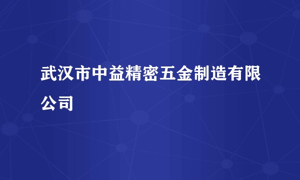 武汉市中益精密五金制造有限公司