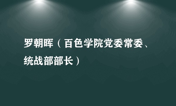 罗朝晖（百色学院党委常委、统战部部长）