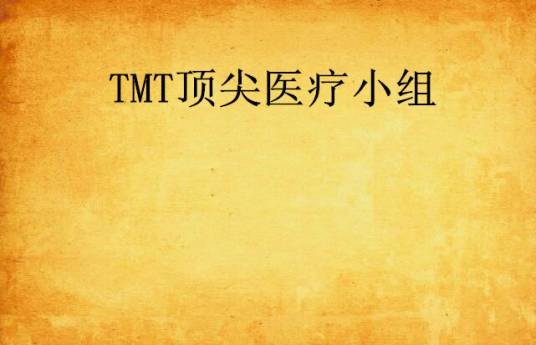 TMT顶尖医疗小组
