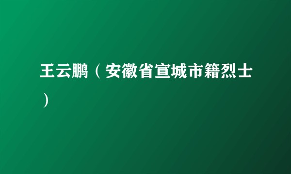 王云鹏（安徽省宣城市籍烈士）
