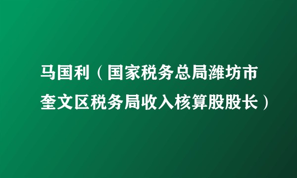 马国利（国家税务总局潍坊市奎文区税务局收入核算股股长）