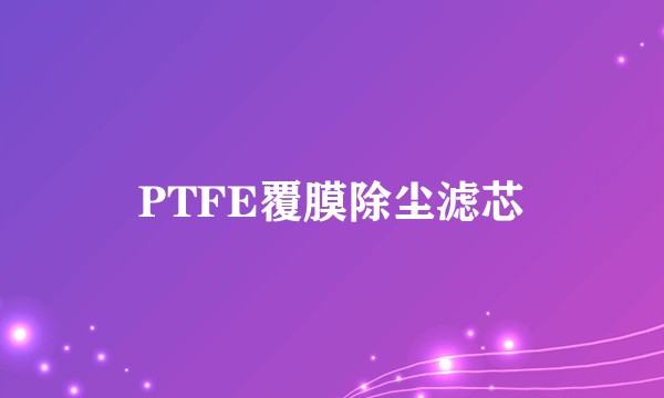 PTFE覆膜除尘滤芯
