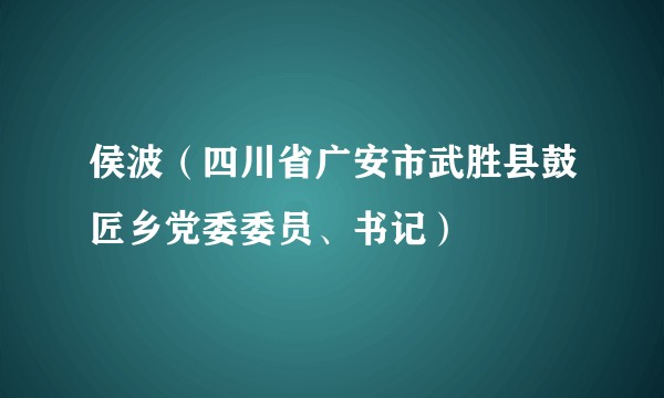 侯波（四川省广安市武胜县鼓匠乡党委委员、书记）