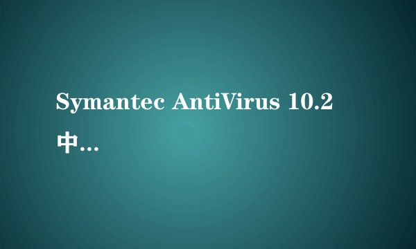 Symantec AntiVirus 10.2 中文产品包(25U)