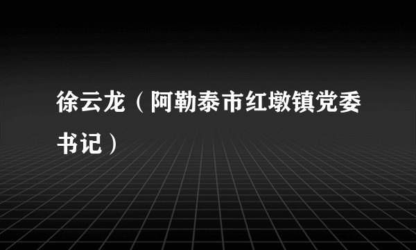 徐云龙（阿勒泰市红墩镇党委书记）