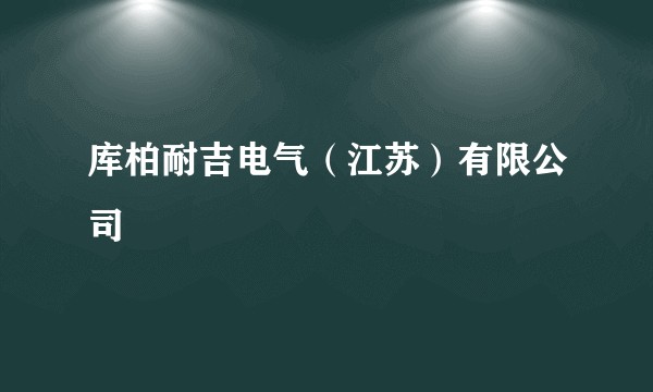 库柏耐吉电气（江苏）有限公司