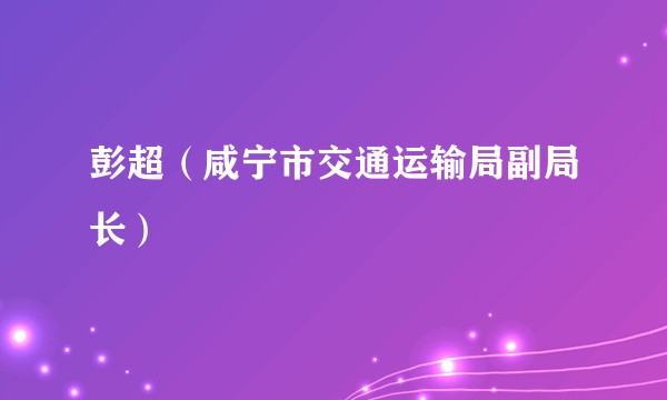 彭超（咸宁市交通运输局副局长）