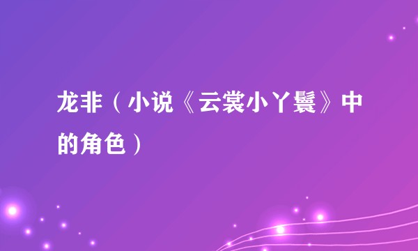 龙非（小说《云裳小丫鬟》中的角色）