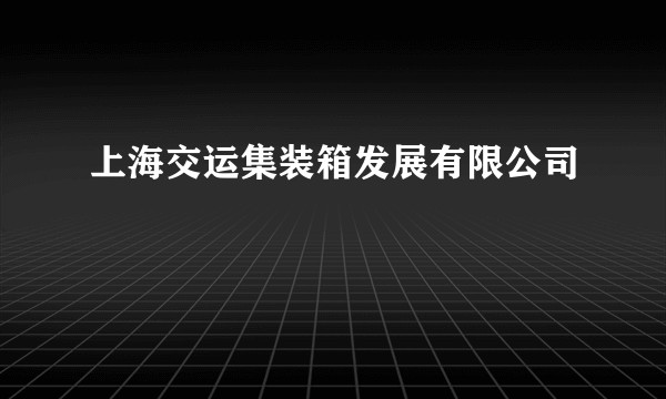 上海交运集装箱发展有限公司